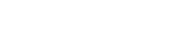 Group 12 Peak Handling Logo